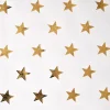 NANU-NANA Geschenkpapier Stern, Creme/gold, 2 M