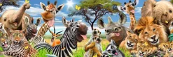 NANU-NANA Jumboposter Wildlife Funnies, Nr. 28