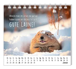 NANU-NANA Mini-Tischkalender 2025, Happymacher