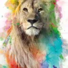 NANU-NANA Poster Multicolor Lion, Nr. 94