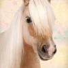 NANU-NANA Poster Sweet Horse, Nr. 198