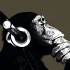 NANU-NANA Poster The Chimp - Stereo, Nr. 155