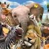NANU-NANA Poster Tiere Wildlife, Nr. 141