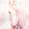 NANU-NANA Poster Unicorn Fluffy, Nr. 144
