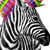 NANU-NANA Poster Zebra Punk, Nr. 238