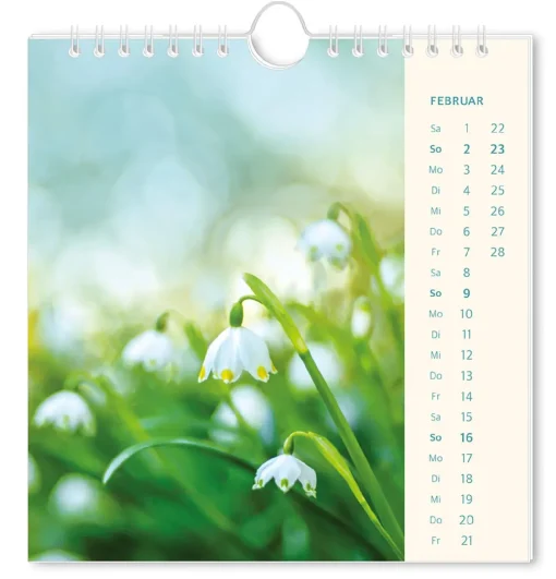 NANU-NANA Postkarten Kalender, 2025, Lichtblicke
